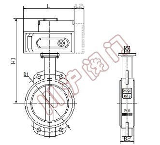 電動對夾蝶閥 結構圖