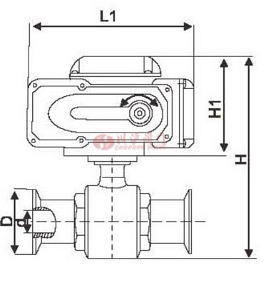 電動衛生級球閥 結構圖